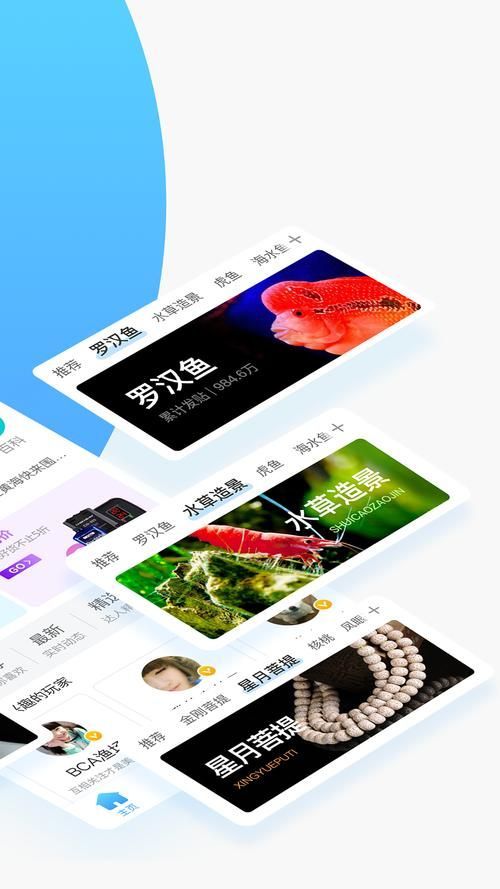 龍魚論壇免費版有哪些新功能預告？，關于龍魚論壇新功能預告