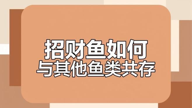 什么魚能和招財貓混養，招財貓和什么魚混養最安全 什么魚能和招財貓混養，招財貓和什么魚混養最安全 龍魚百科 第2張