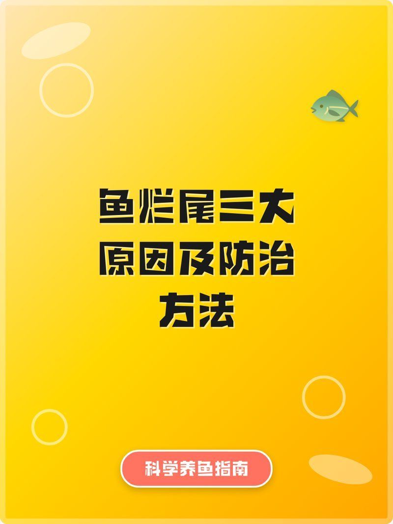 如何預(yù)防魚缸里魚爛尾，魚爛尾的原因與對策