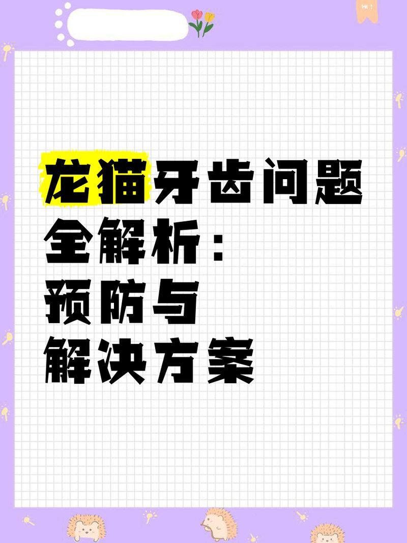 再詳細介紹一下龍貓的牙齒問題，如何預防龍貓牙齒問題