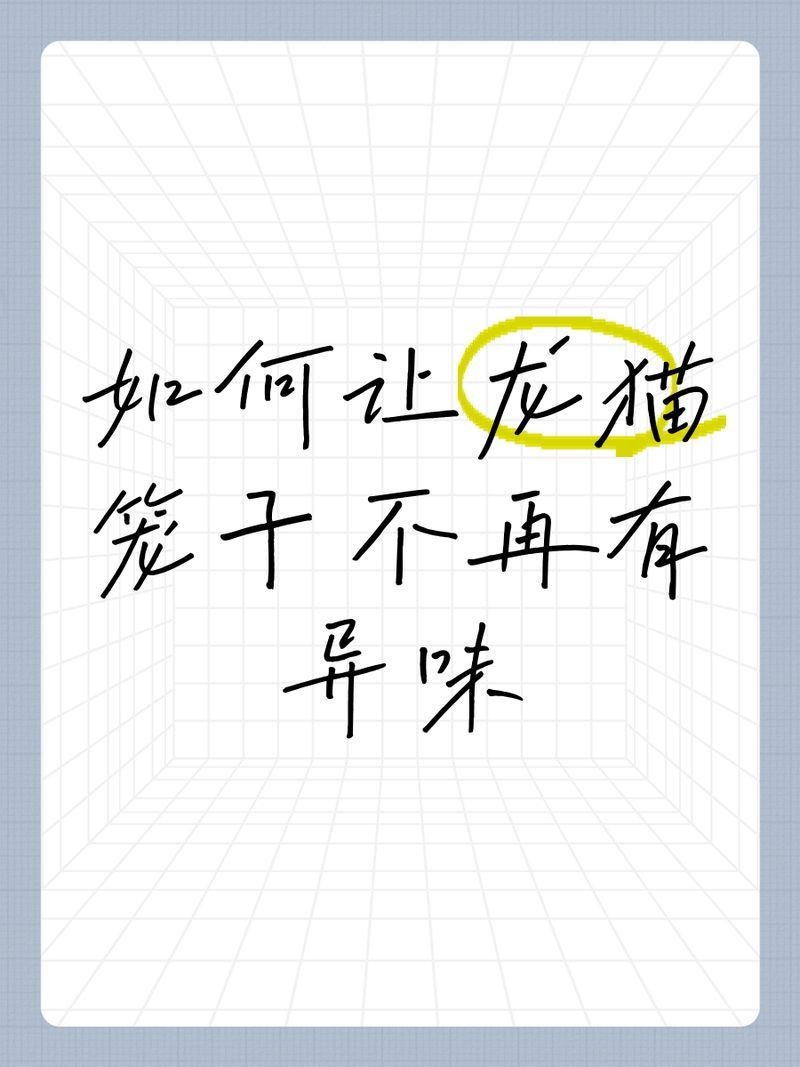 如何預防龍貓細菌傳播，龍貓籠舍消毒流程圖解（龍貓籠舍消毒流程圖解類視覺內(nèi)容）