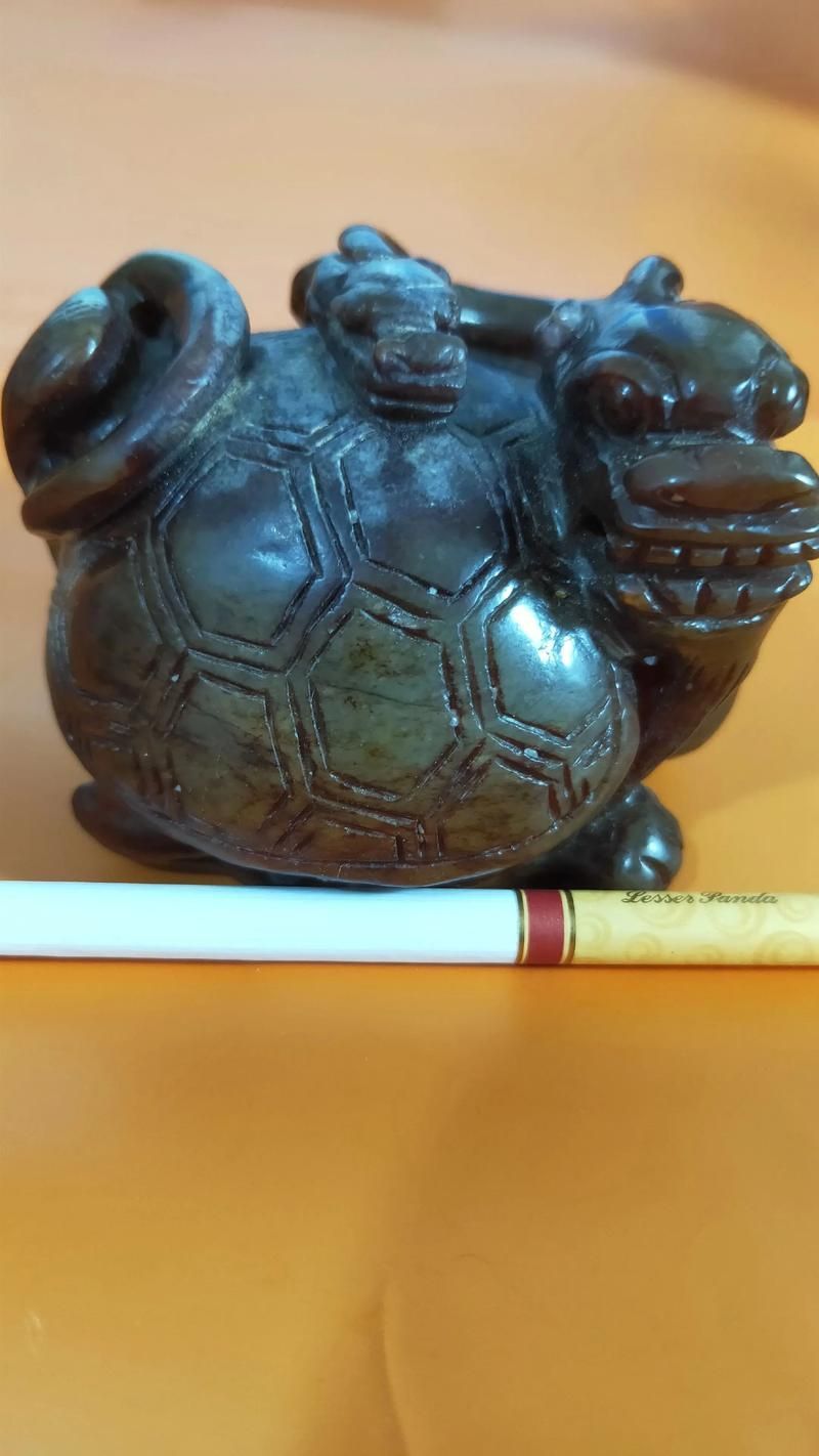 如何鑒別龍龜圖片的真偽，arxiv論文助手龍龜圖片的真偽鑒別指南，龍龜圖片的真偽