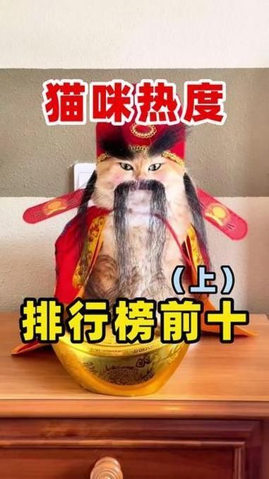 龍貓和貓哪個(gè)更受歡迎，貓咪熱度排行榜前十名(龍貓vs貓」 龍貓和貓哪個(gè)更受歡迎，貓咪熱度排行榜前十名(龍貓vs貓」 龍魚百科 第2張