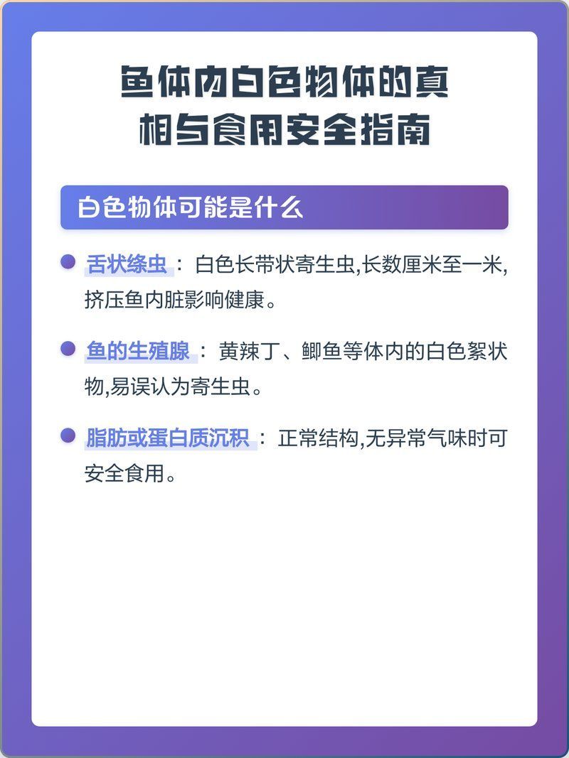魚肚子白色寄生蟲，魚肚子白色寄生蟲有哪些癥狀如何預(yù)防魚肚子白色寄生蟲