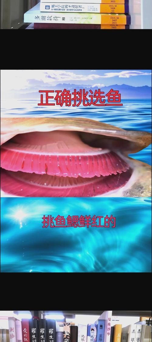 如何判斷寶坻龍魚是否新鮮？，——權威感官鑒別寶坻龍魚是否新鮮度