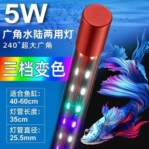 哪些類型的龍魚燈對龍魚最有益?,如仟湖of御龍殿龍魚燈 龍魚百科 第12張 哪些類型的龍魚燈對龍魚最有益?,如仟湖of御龍殿龍魚燈 哪些類型的龍魚燈對龍魚最有益?,如仟湖of御龍殿龍魚燈 龍魚百科 第12張