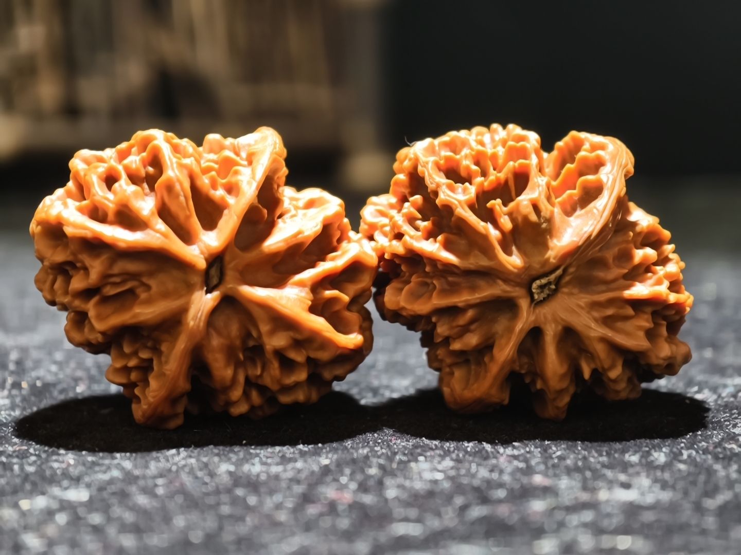 【淶水麻核桃·帝王】，水麻核桃·帝王