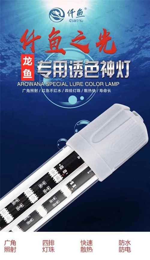 給我推薦幾款適合紅龍的LED燈，紅龍魚燈光設置與水質管理的簡易對照表