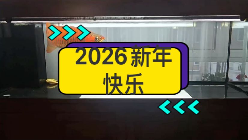 漂亮，“漂亮”在藝術