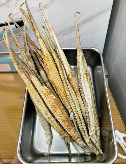 真正海龍的圖片,codurusequescoduruseques海龍的真正海龍 龍魚百科 第8張 真正海龍的圖片,codurusequescoduruseques海龍的真正海龍 真正海龍的圖片,codurusequescoduruseques海龍的真正海龍 龍魚百科 第8張