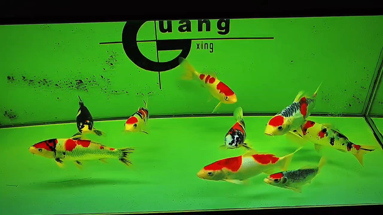 打卡，昆weixin001評(píng)論：現(xiàn)代人對(duì)即時(shí)分享的渴望