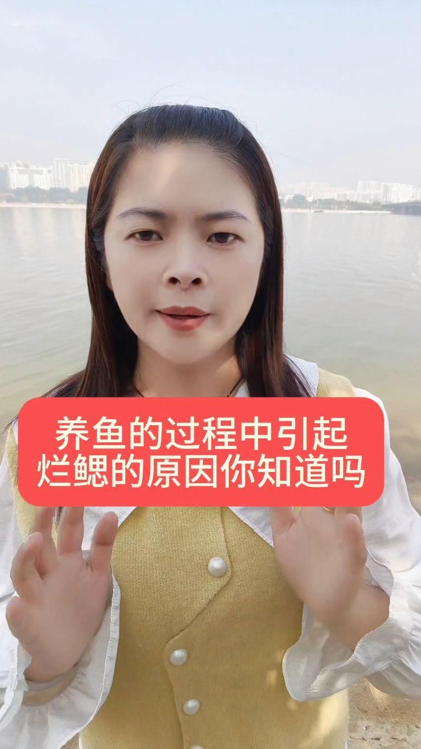 如何判斷龍魚鰓蓋腐爛是由什么引起的，龍魚鰓蓋腐爛可能是由多種原因引起的，如何治療龍魚鰓蓋腐爛