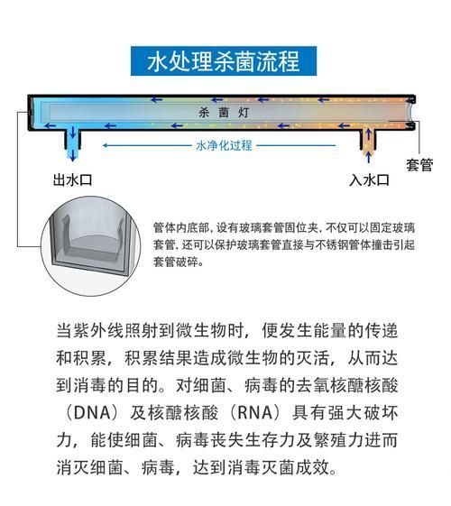 如何預防龍魚體外細菌感染復發,如何防止龍魚體外細菌感染復發 龍魚百科 第9張 如何預防龍魚體外細菌感染復發,如何防止龍魚體外細菌感染復發 如何預防龍魚體外細菌感染復發,如何防止龍魚體外細菌感染復發 龍魚百科 第9張