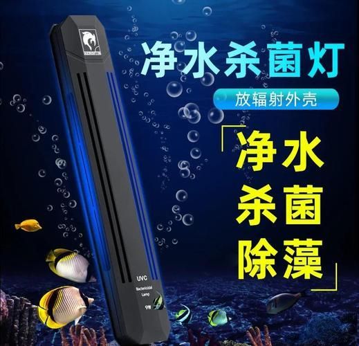 如何預防龍魚體外細菌感染復發,如何防止龍魚體外細菌感染復發 龍魚百科 第10張 如何預防龍魚體外細菌感染復發,如何防止龍魚體外細菌感染復發 如何預防龍魚體外細菌感染復發,如何防止龍魚體外細菌感染復發 龍魚百科 第10張