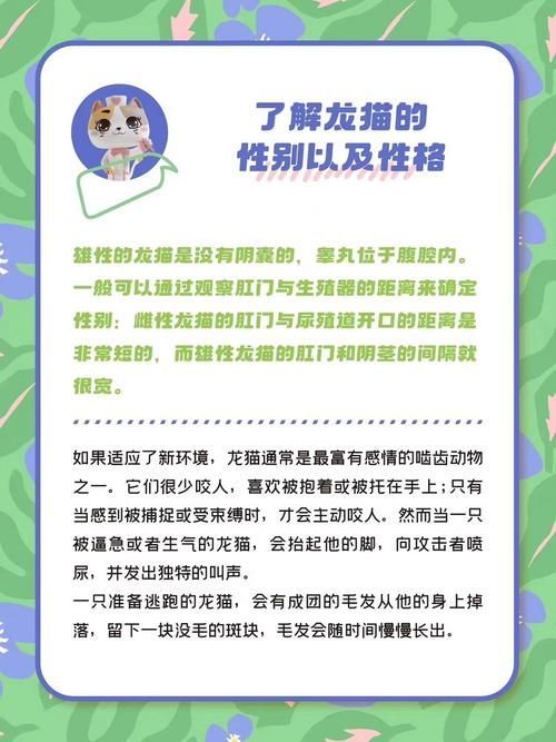 如何預防龍貓疾病，如何科學預防龍貓疾病