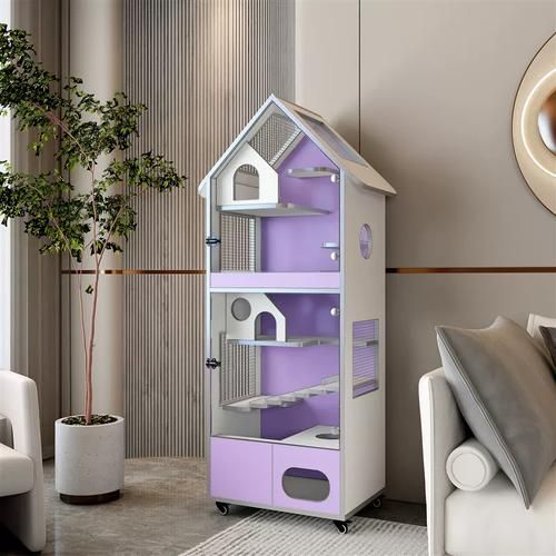 如何預防龍貓疾病，如何科學預防龍貓疾病