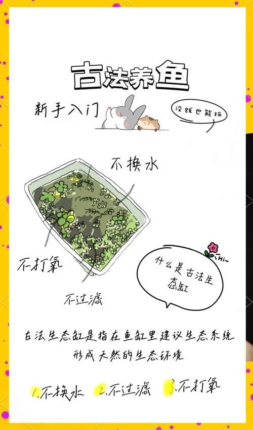 如何預防龍貓疾病，如何科學預防龍貓疾病