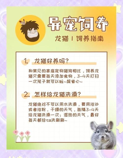 如何預防龍貓疾病，如何科學預防龍貓疾病