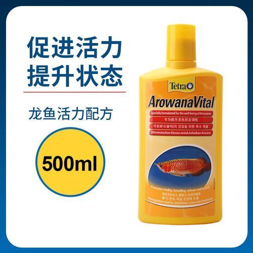 如何預防龍魚細菌感染,arxiv論文助手arxiv論文助手可輔助獲取信息 龍魚百科 第3張 如何預防龍魚細菌感染,arxiv論文助手arxiv論文助手可輔助獲取信息 如何預防龍魚細菌感染,arxiv論文助手arxiv論文助手可輔助獲取信息 龍魚百科 第3張