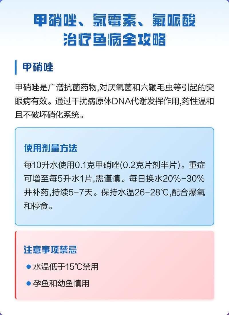 哪些魚類不適合使用甲硝唑治療，關于甲硝唑治療魚病的問題 哪些魚類不適合使用甲硝唑治療，關于甲硝唑治療魚病的問題 龍魚百科 第2張
