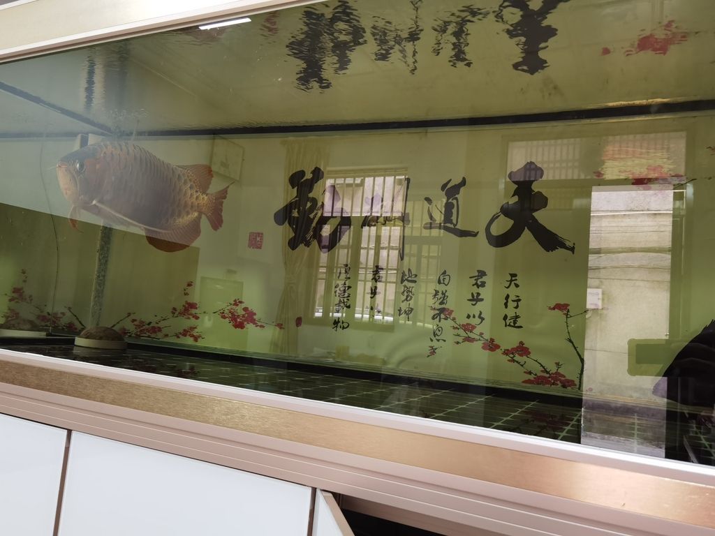 ，_人見人愛評論：數字化轉型與人工智能的融合 ，_人見人愛評論：數字化轉型與人工智能的融合 龍魚論壇