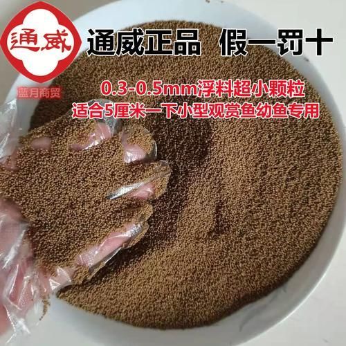 有哪些適合龍魚的開口餌料？，新手養(yǎng)龍魚開口訓(xùn)練，步驟不要記錯了