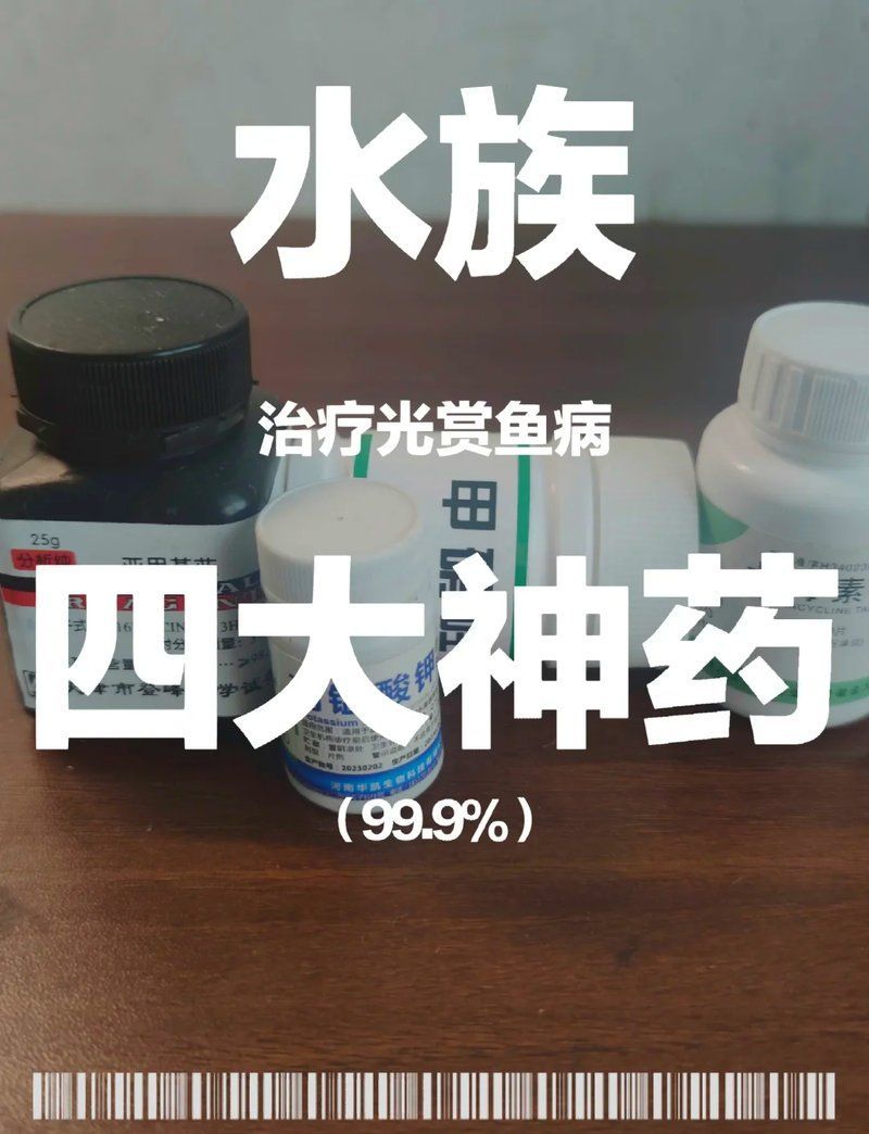 有哪些藥物可以有效治療魚類細菌感染，治療魚類細菌感染時，有哪些藥物可以治療魚類細菌感染 有哪些藥物可以有效治療魚類細菌感染，治療魚類細菌感染時，有哪些藥物可以治療魚類細菌感染 龍魚百科 第1張