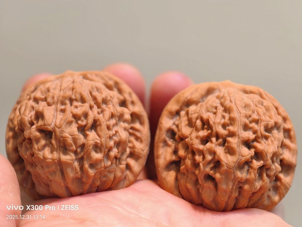 【淶水麻核桃·南瓜墩226包郵】，水麻核桃·南瓜墩226包郵