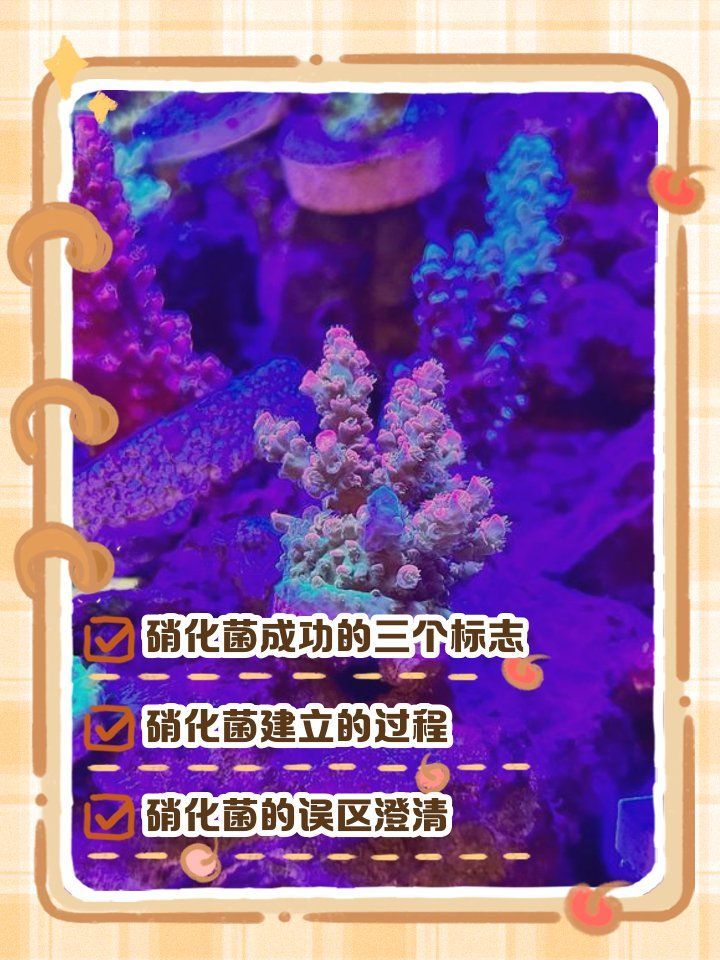 如何判斷硝化菌是否培養成功，如何判斷硝化菌培養成功