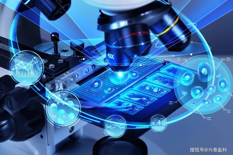 請提供更多關于創新技術的圖片，人工智能（ai）技術的最新進展，創新技術圖片分類指南 請提供更多關于創新技術的圖片，人工智能（ai）技術的最新進展，創新技術圖片分類指南 龍魚百科 第15張