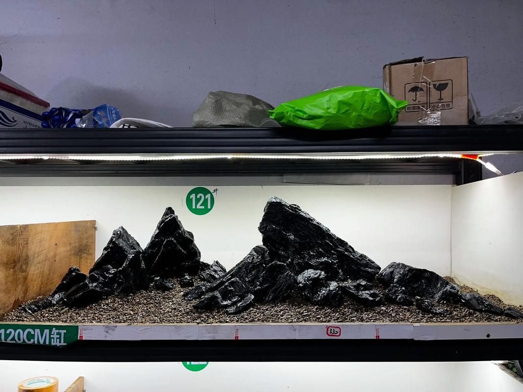 給我一些120×60魚(yú)缸的造景圖片，120×60厘米的魚(yú)缸造景圖片展示了如何通過(guò)不同的植物、裝飾品和水生物來(lái)豐富您的魚(yú)缸景觀