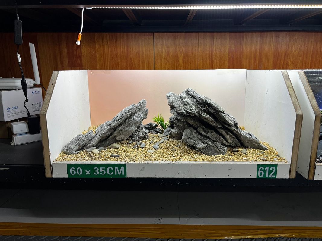 給我一些120×60魚(yú)缸的造景圖片，120×60厘米的魚(yú)缸造景圖片展示了如何通過(guò)不同的植物、裝飾品和水生物來(lái)豐富您的魚(yú)缸景觀