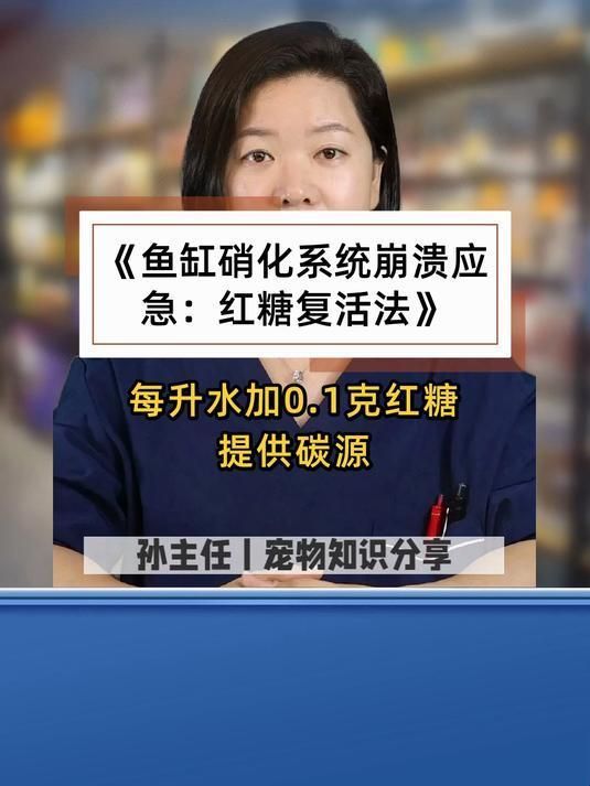 魚缸殺蟲后如何恢復硝化系統(tǒng)，魚缸殺蟲后如何快速恢復？ 魚缸殺蟲后如何恢復硝化系統(tǒng)，魚缸殺蟲后如何快速恢復？ 龍魚百科 第2張