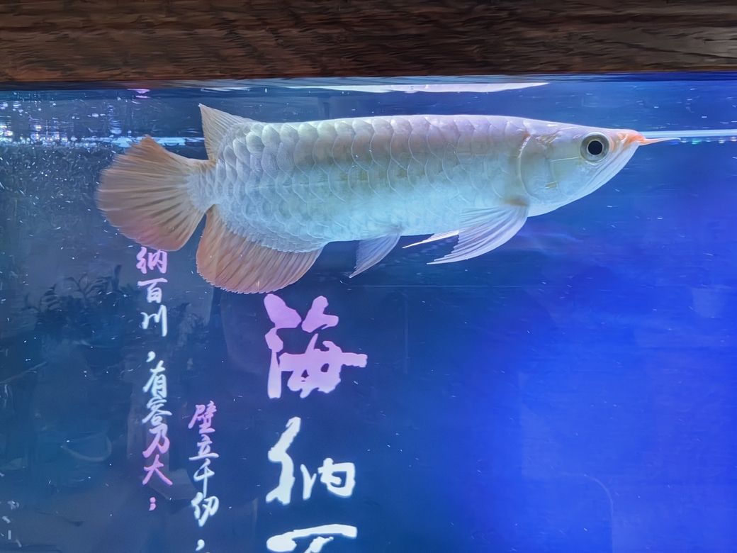 第一天，《探索未知的第一天》主要內(nèi)容
