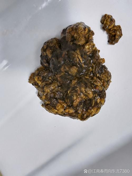 正常龍魚糞便圖，如何判斷龍魚糞便是否正常