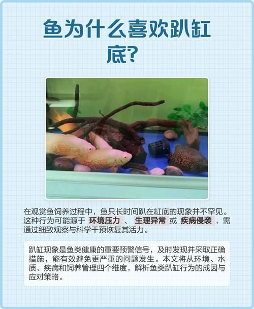 如何判斷魚是否完全恢復，arxiv論文助手工具arxiv論文助手判斷魚是否完全恢復