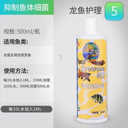 紅龍魚哪個品牌的水質管理最好？，紅龍魚水質管理專業性與說服力