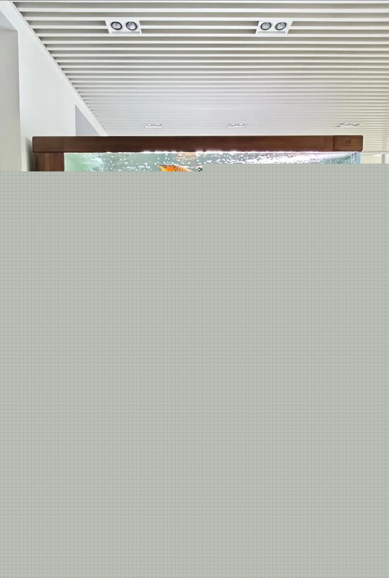 客廳魚缸擺放位置圖大全，客廳魚缸擺放位置圖 客廳魚缸擺放位置圖大全，客廳魚缸擺放位置圖 龍魚百科 第7張