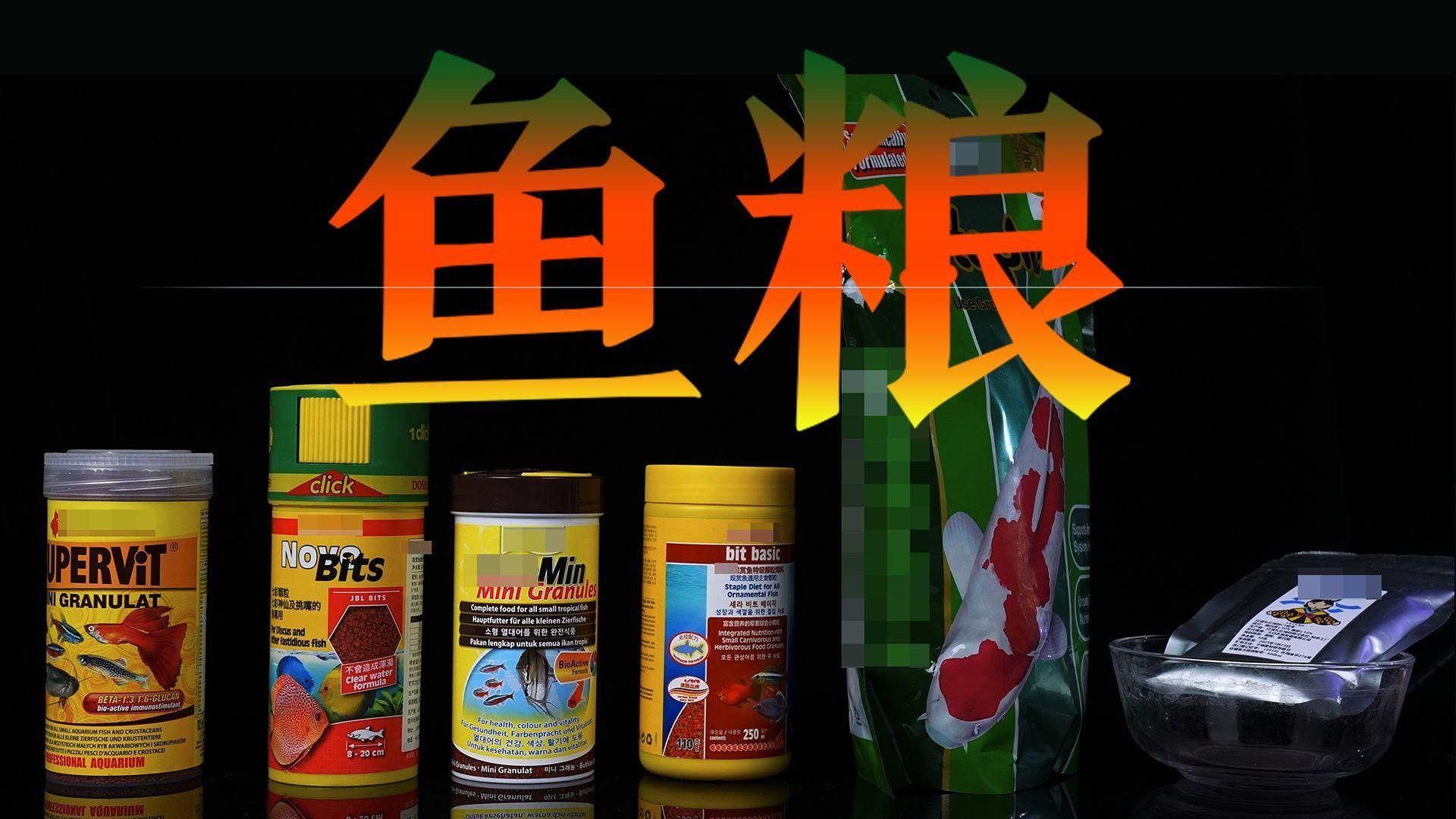 如何判斷金魚飼料是否優質，優質的金魚飼料是否優質的金魚飼料品牌推薦 如何判斷金魚飼料是否優質，優質的金魚飼料是否優質的金魚飼料品牌推薦 龍魚百科 第3張