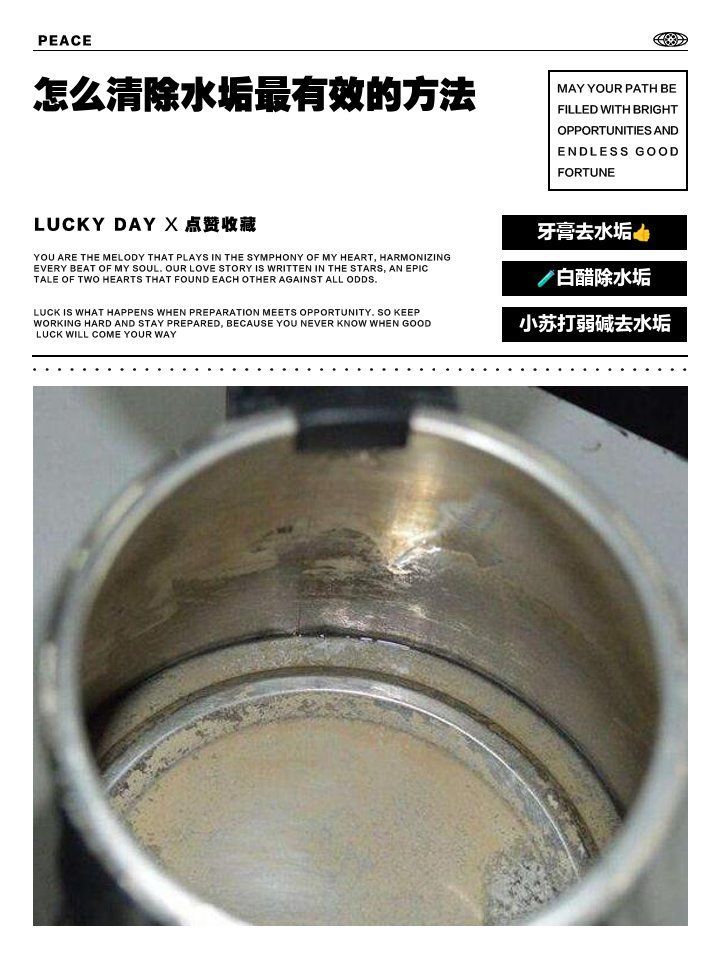 哪種去垢方法最有效，低成本高效除垢妙招大揭秘 哪種去垢方法最有效，低成本高效除垢妙招大揭秘 龍魚百科 第4張