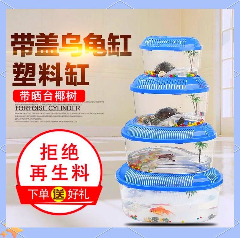 有哪些低成本養龜方法，低成本養龜技巧