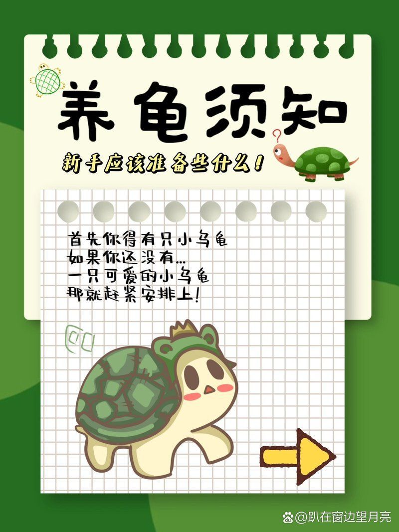 有哪些低成本養龜方法，低成本養龜技巧