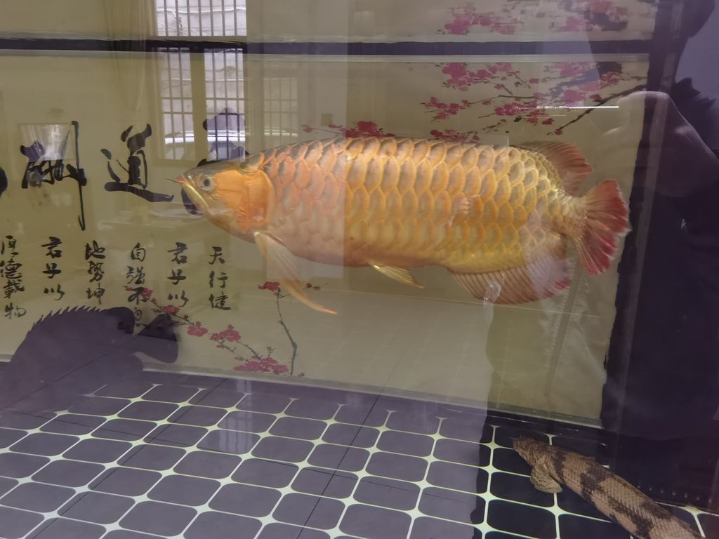 ，mono-c評(píng)論：人工智能為教育領(lǐng)域帶來了新的機(jī)遇和挑戰(zhàn)