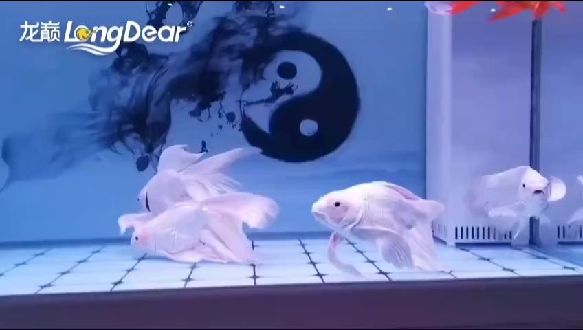 事事順遂，會越來越好，南無阿彌陀佛??????，“事事順遂”是佛教中的一句祈禱語，表示對佛陀的尊敬和感激之情