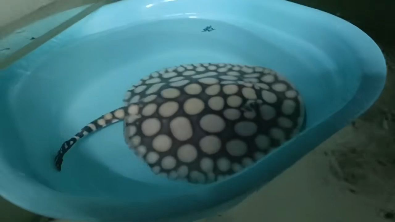 自然光，室內(nèi)設(shè)計(jì)中的自然光