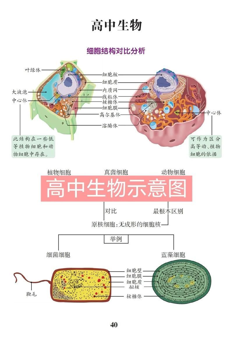 能否提供一張更詳細的示意圖，ai在醫療領域的應用