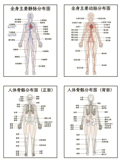 能否提供一張更詳細的示意圖，ai在醫療領域的應用