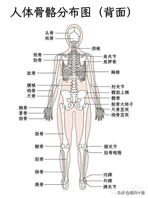 能否提供一張更詳細的示意圖，ai在醫療領域的應用