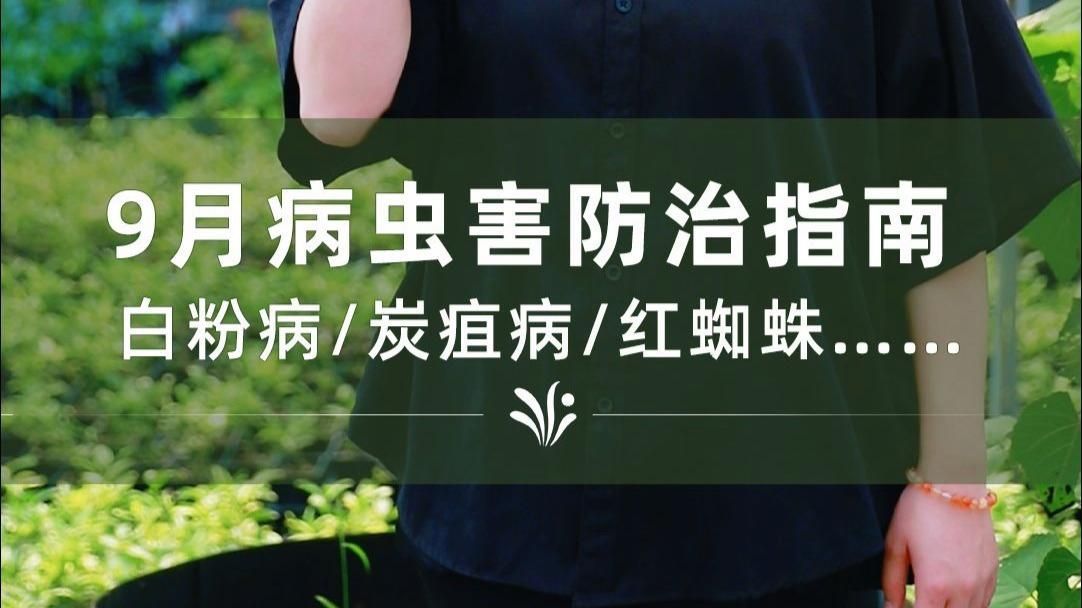 春秋季兩次防治具體如何操作，春秋季兩次防治具體如何操作探討春季和秋季兩次關(guān)鍵時期 春秋季兩次防治具體如何操作，春秋季兩次防治具體如何操作探討春季和秋季兩次關(guān)鍵時期 龍魚百科 第2張