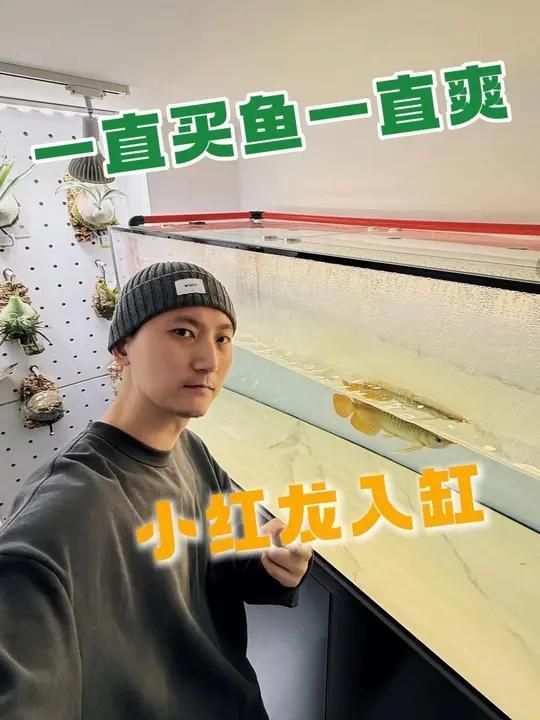 一米x50x50的魚缸可以養(yǎng)紅龍嗎，米x50x50的魚缸可以養(yǎng)紅龍嗎